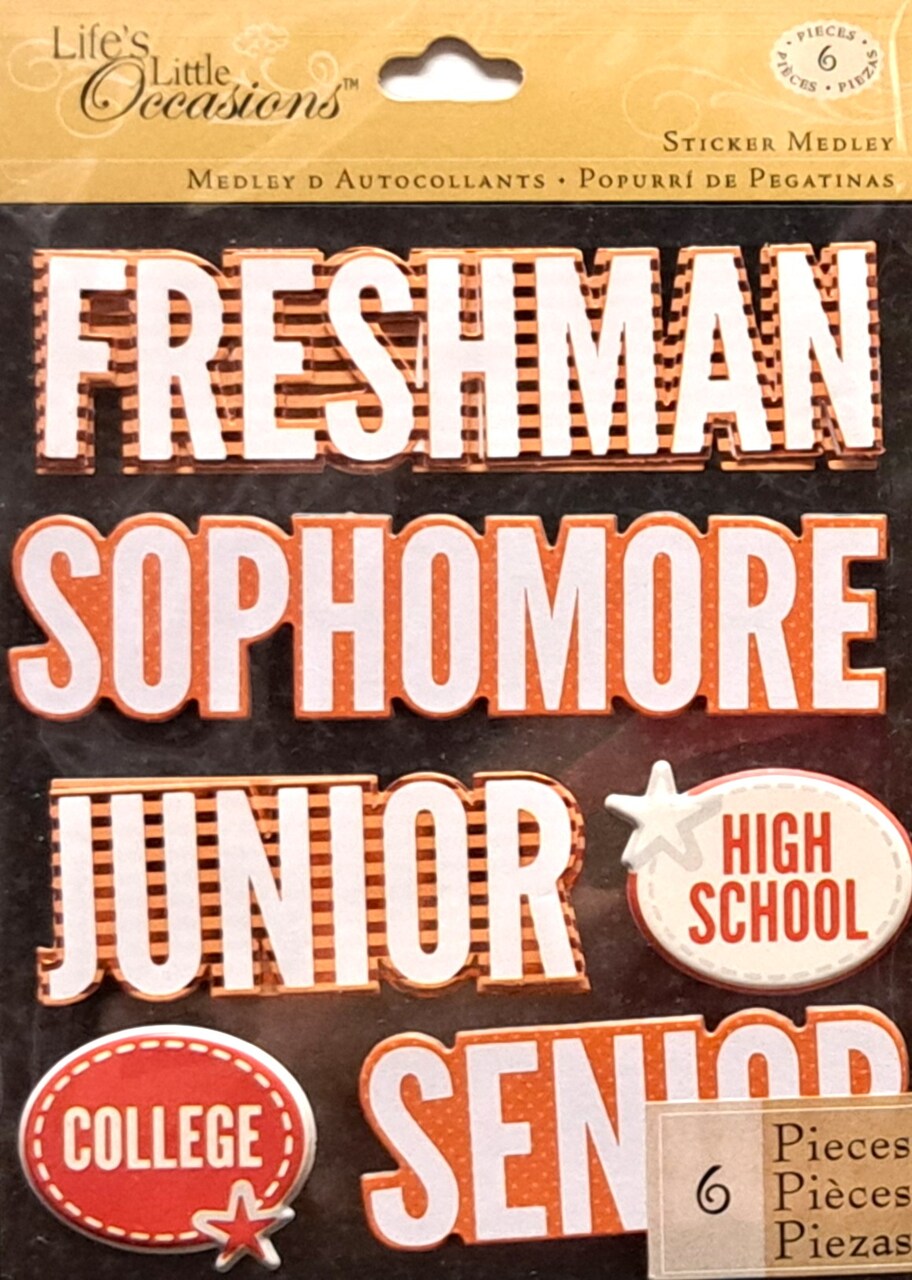 K & Company Life's Little Occasions Orange Class Titles Dimensional Stickers